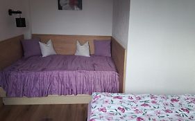Ferienwohnung Steinberger
